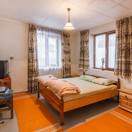 Otua Pensionat Bansko
